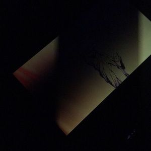 Meet your Posher, Jisely